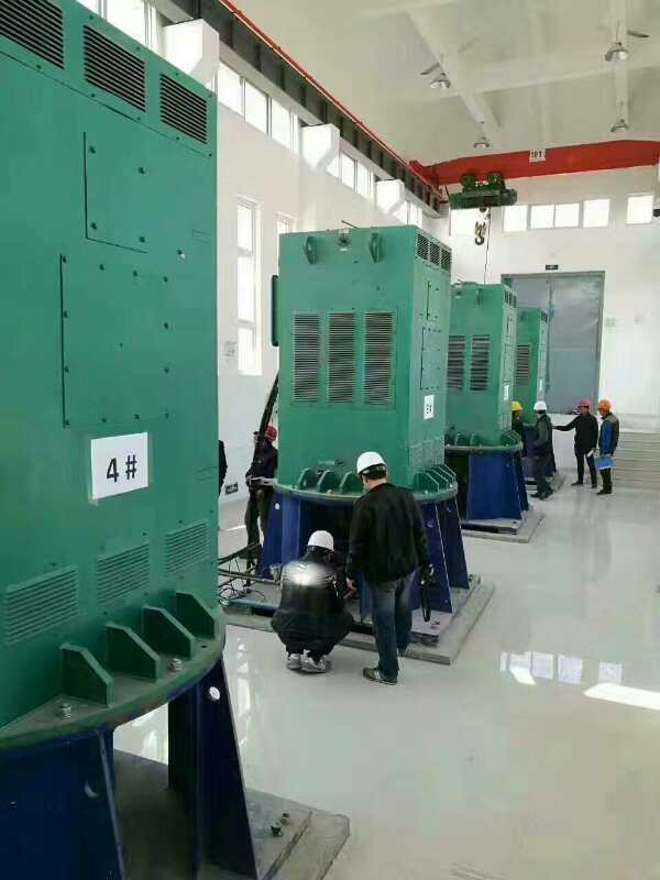 Y710-10某污水处理厂使用我厂的立式高压电机安装现场