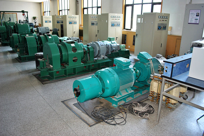 Y710-10某热电厂使用我厂的YKK高压电机提供动力